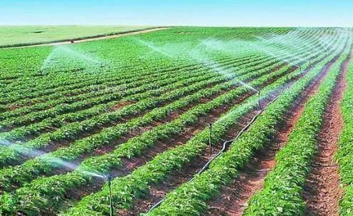 插肉棒在线app农田高 效节水灌溉